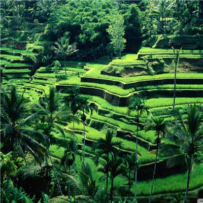 香港2023正版免费资料下载手机版